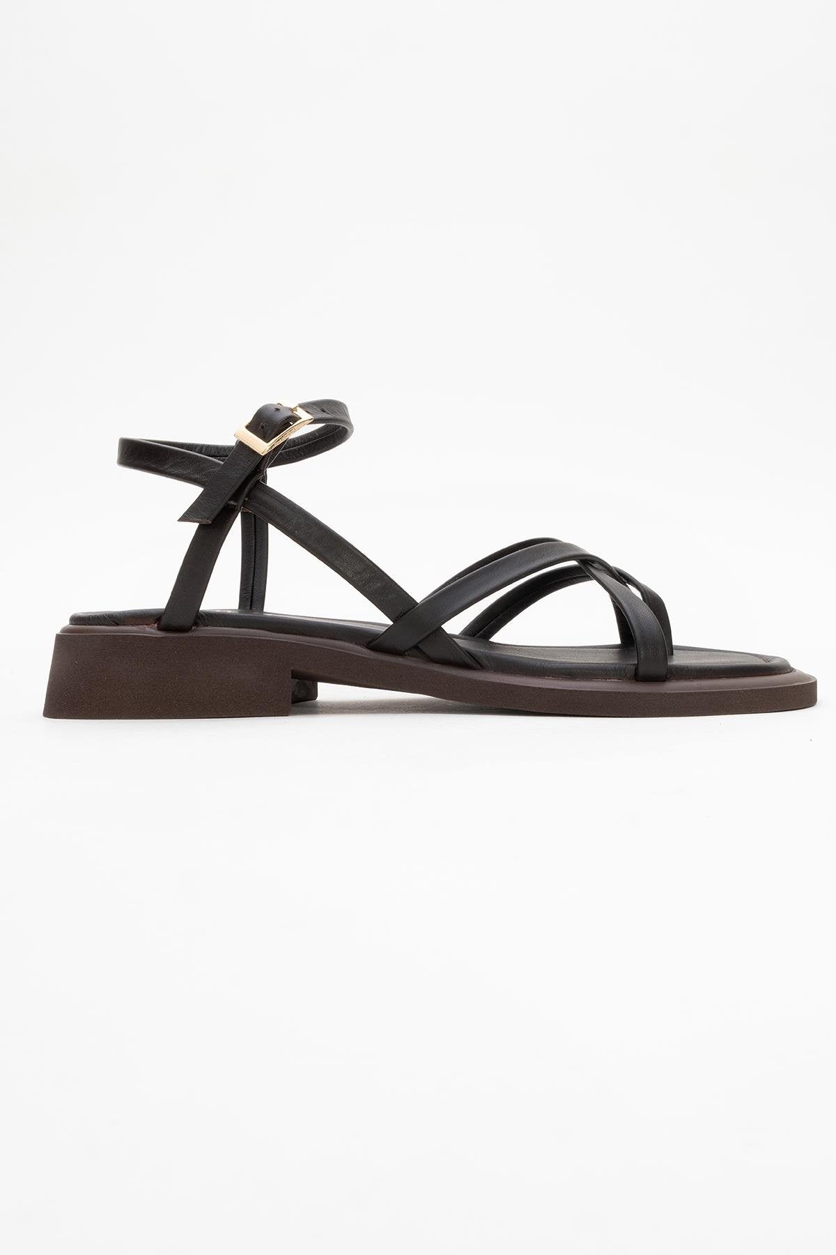 Antas - Brown Leather Sandals (Women)