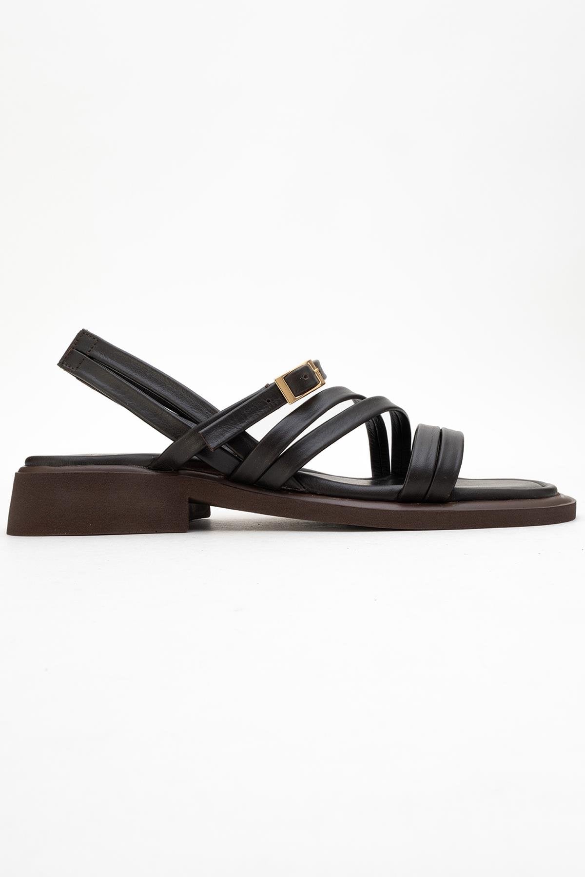 Cesar - Dark Brown Leather Sandals (Women)