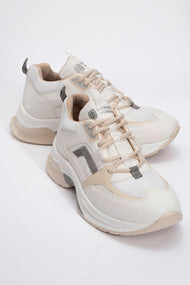Sterda - White Beige Platform Sneaker (Women)