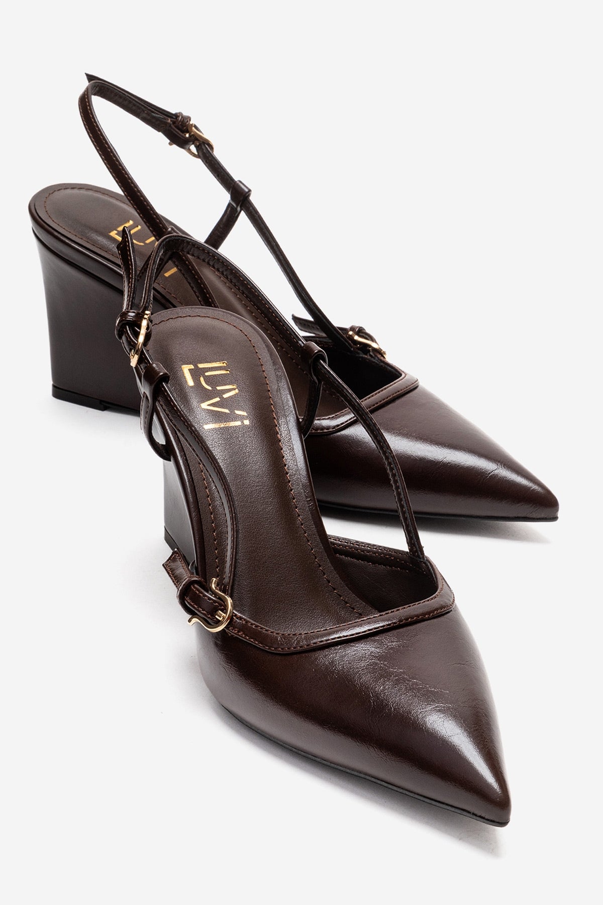 CELIA - Brown Block Heel Pointed Toe Shoe (Women)