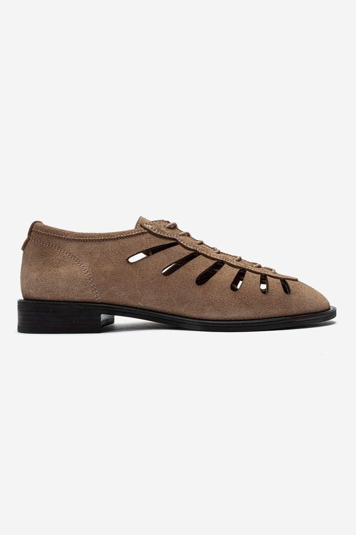 ASTRON - Taupe Genuine Suede Leather Casual Lace-Up Shoe (Women)
