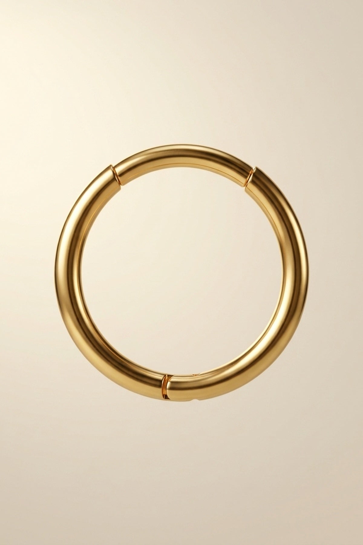 Amelie Classic 14k Gold Hoop Earrings
